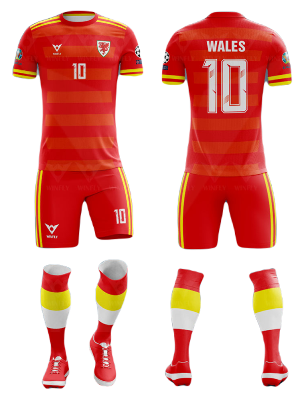 Áo bóng đá Đội Tuyển Xứ Wales – 0106