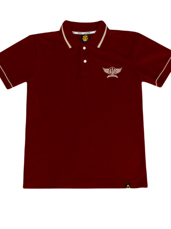 Áo lớp Polo thiết kế theo mẫu 17