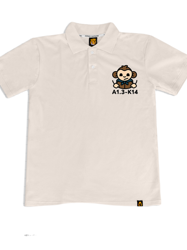 Áo lớp Polo thiết kế theo mẫu 19