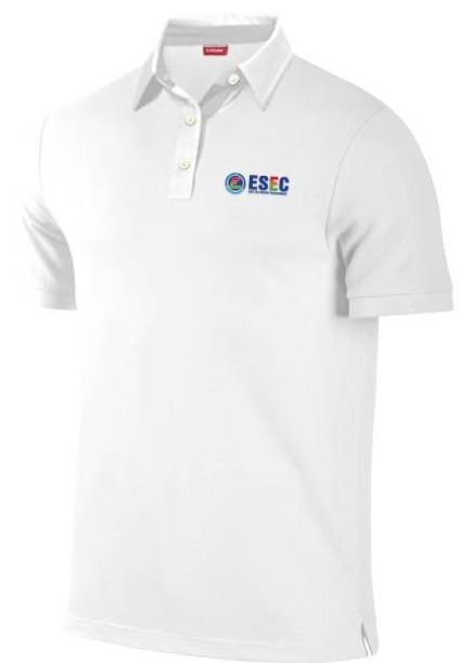 Áo thun đồng phục công ty Polo thiết kế theo yêu cầu mẫu 40